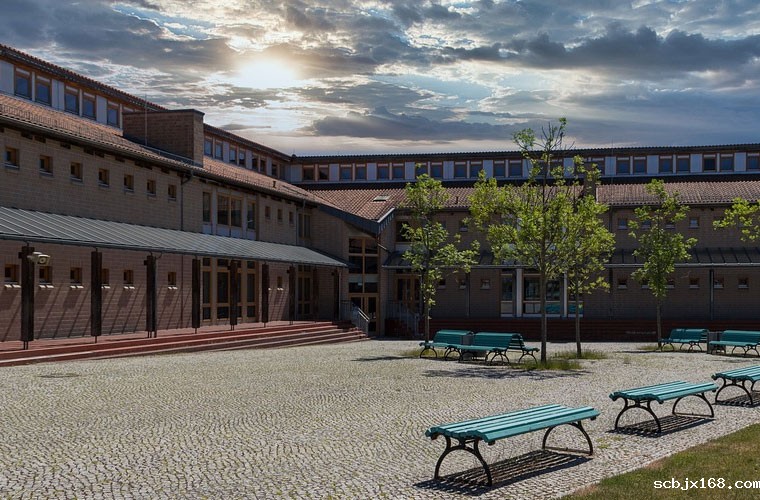 成都体育学院附属体育运动学校2023年录取分数线