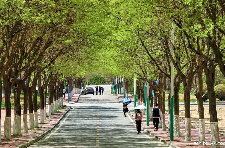 重庆能源职业学院地址在哪里